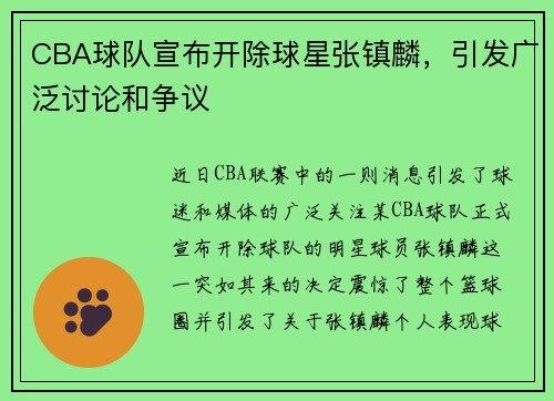 CBA球队宣布开除球星张镇麟，引发广泛讨论和争议