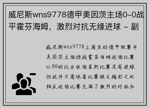 威尼斯wns9778德甲美因茨主场0-0战平霍芬海姆，激烈对抗无缘进球 - 副本