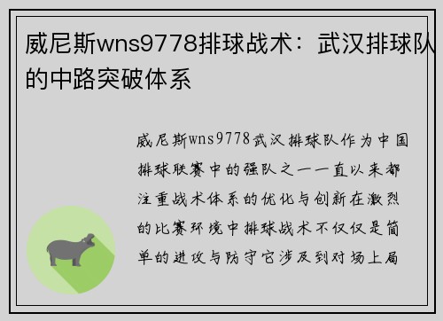 威尼斯wns9778排球战术：武汉排球队的中路突破体系